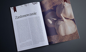 Zielnik - Czosnek pospolity